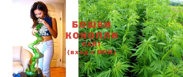 прущая мука Верея